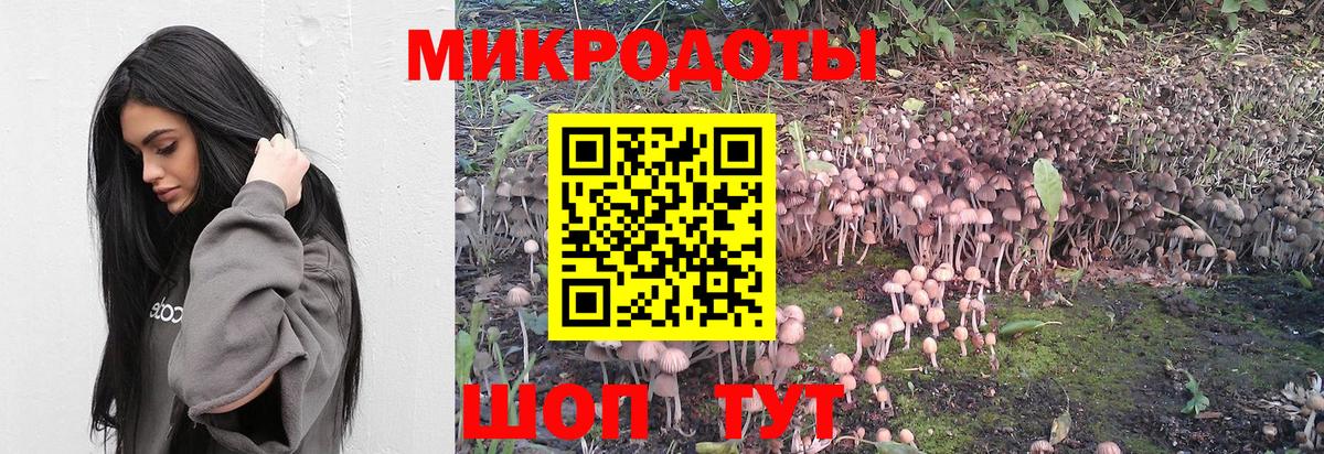 где купить наркоту  Вход с VPN  Ижевск  Псилоцибиновые грибы Cubensis 