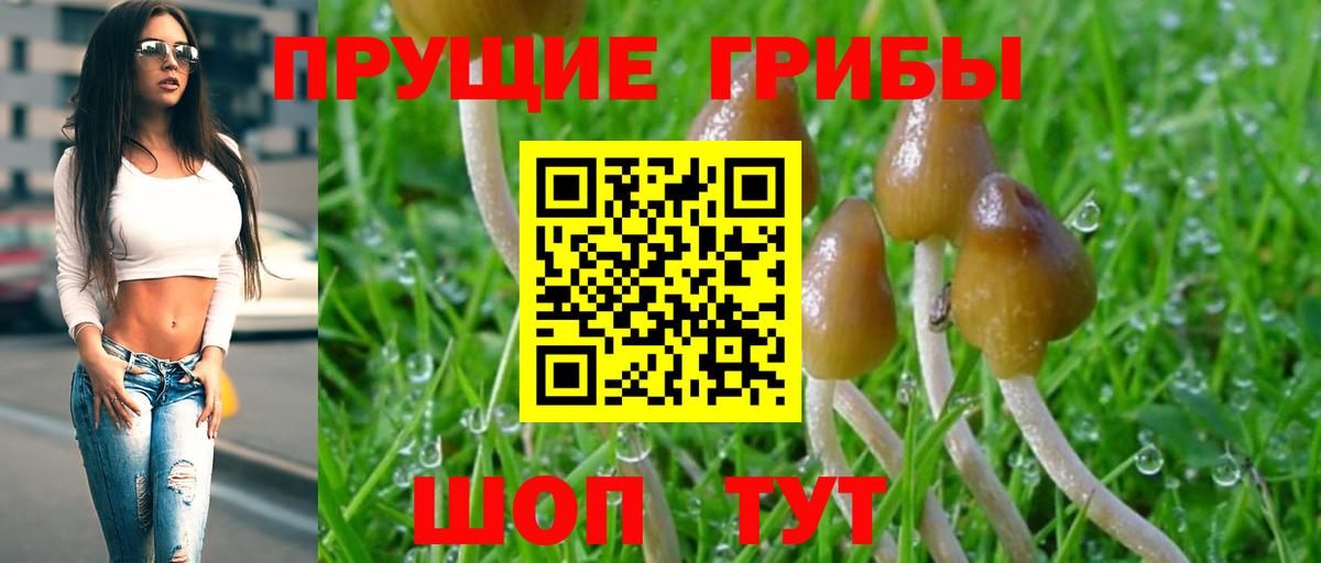 Псилоцибиновые грибы GOLDEN TEACHER Ижевск